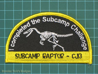 CJ'13 Raptor Subcamp Challenge